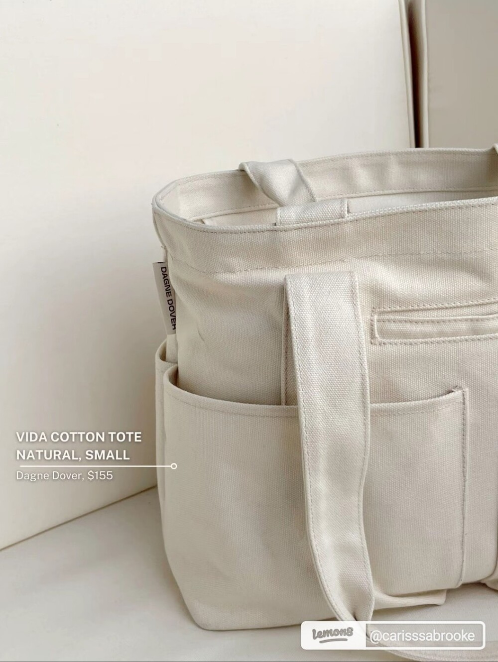 Dagne Dover Small Vida Tote In Color Natural
